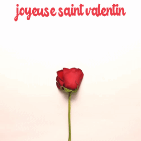 Gif animé joyeuse Saint Valentin coeur de pétales